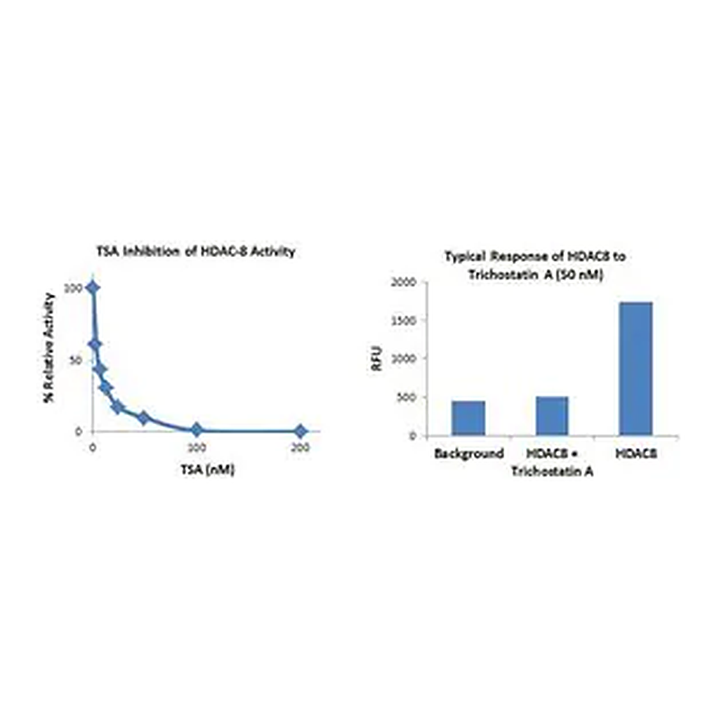 Merck Histone Deacetylase 8 (HDAC8) Inhibitor Screening Kit