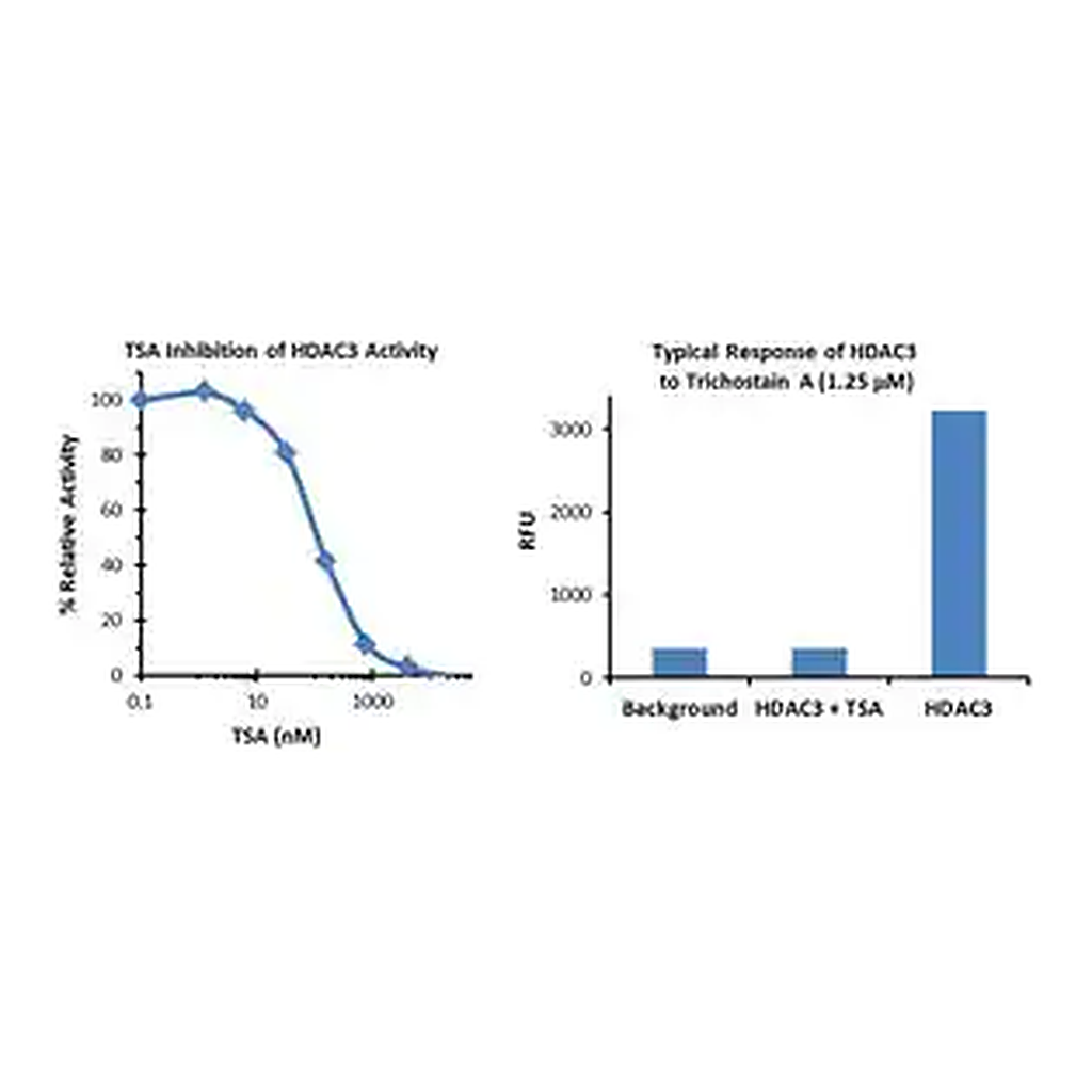 Merck Histone Deacetylase 3 (HDAC3) Inhibitor Screening Kit