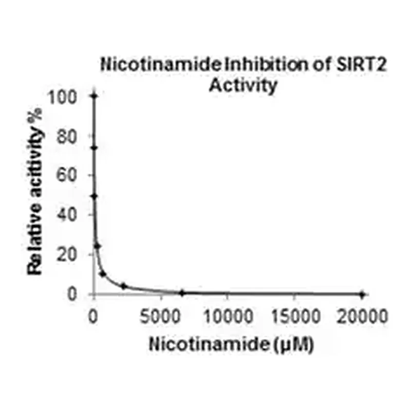 Merck Sirtuin 2 (SIRT2) Inhibitor Screening Assay Kit