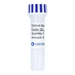 Merck PSF-TEF1-COOH-DAGFP - C-TERMINAL DAGFP TAG YEAST PLASMID