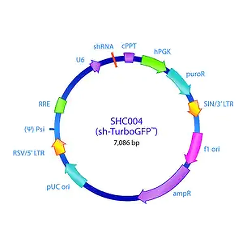 Merck MISSION pLKO.1-puro TurboGFP shRNA Control Plasmid DNA