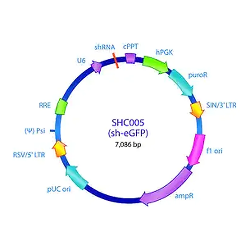 Merck MISSION pLKO.1-puro eGFP shRNA Control Plasmid DNA