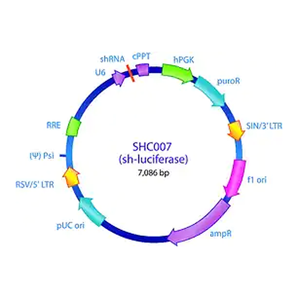 Merck MISSION pLKO.1-puro Luciferase shRNA Control Plasmid DNA