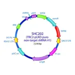 Merck MISSION TRC2 pLKO.5-puro Non-Mammalian shRNA Control Plasmid DNA