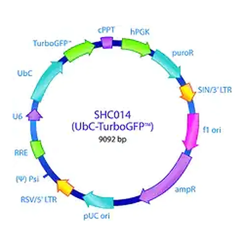 Merck MISSION pLKO.1-puro-UbC-TurboGFP Positive Control Plasmid DNA