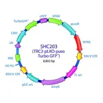 Merck MISSION TRC2 pLKO.5-puro-CMV-TurboGFP Positive Control Transduction Particles