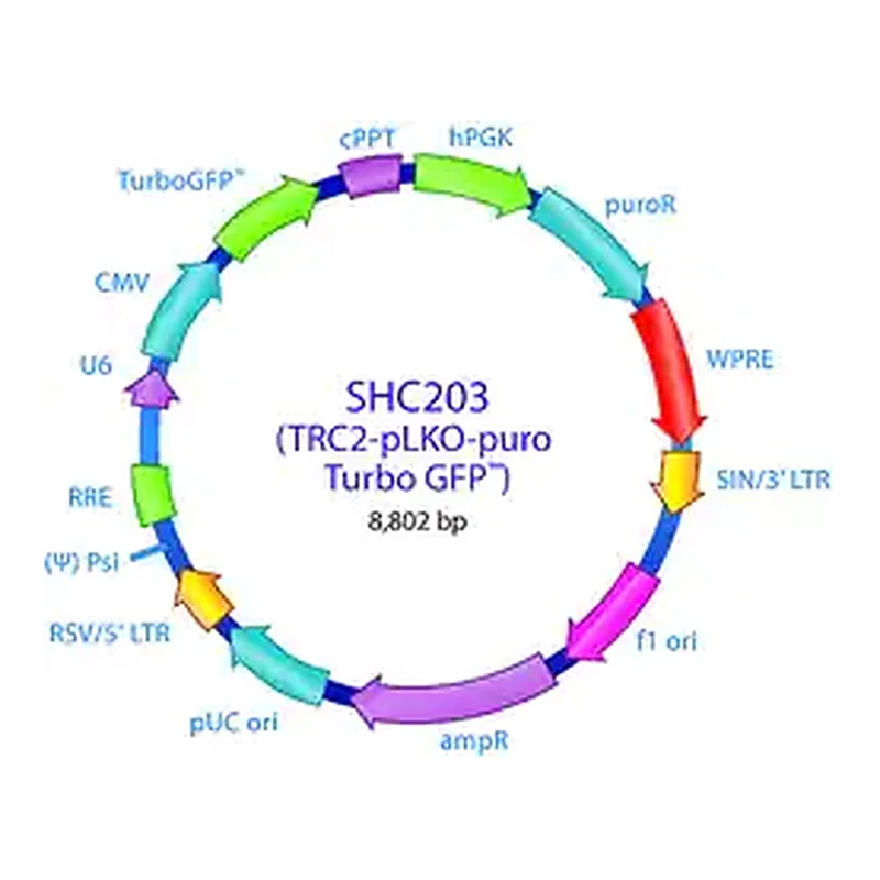 Merck MISSION TRC2 pLKO.5-puro-CMV-TurboGFP Positive Control Plasmid DNA