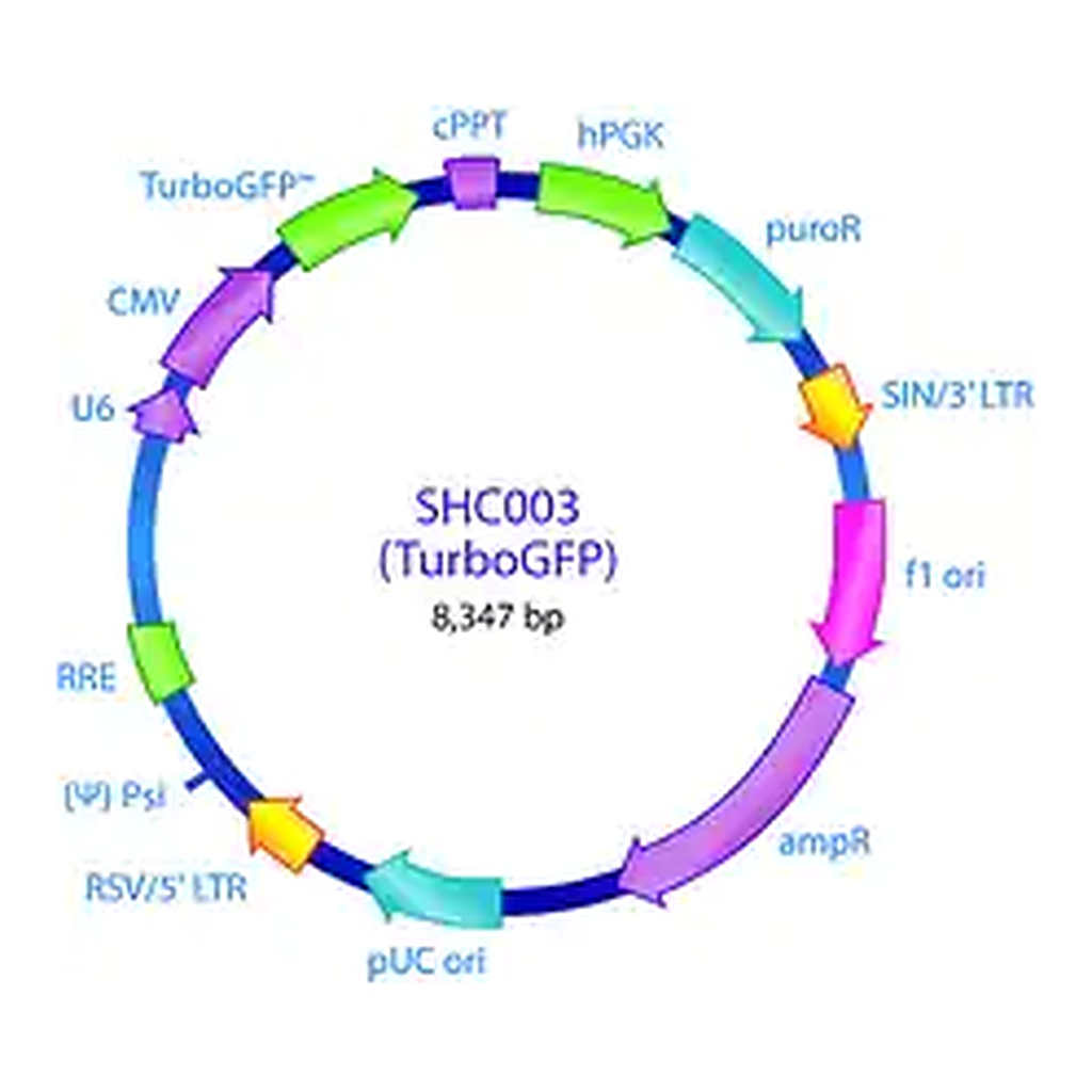 Merck MISSION pLKO.1-puro-CMV-TurboGFP Positive Control Transduction Particles, High Titer