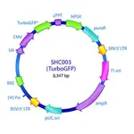 Merck MISSION pLKO.1-puro-CMV-TurboGFP Positive Control Transduction Particles, High Titer