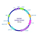 Merck MISSION pLKO.1-puro Empty Vector Control Transduction Particles, High Titer