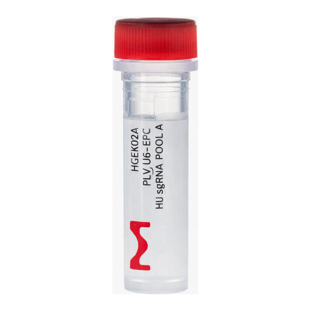 Merck Gecko2 Human Whole Genome CRISPR Pool, All-in-one Lenti Particles (Gecko2 vector)