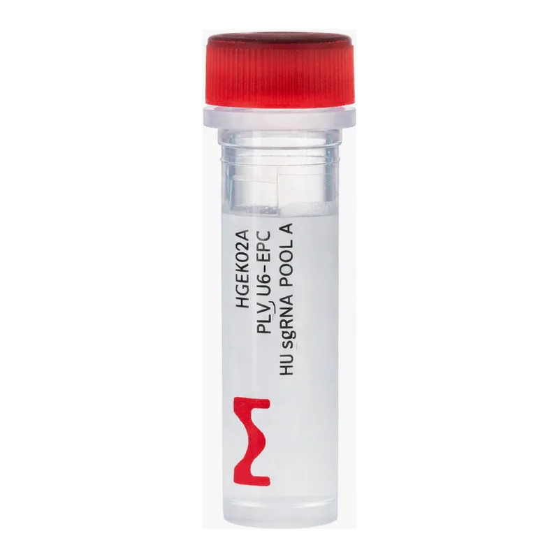 Merck Gecko2 Human Whole Genome CRISPR Pool, All-in-one Lenti Particles (Gecko2 vector)