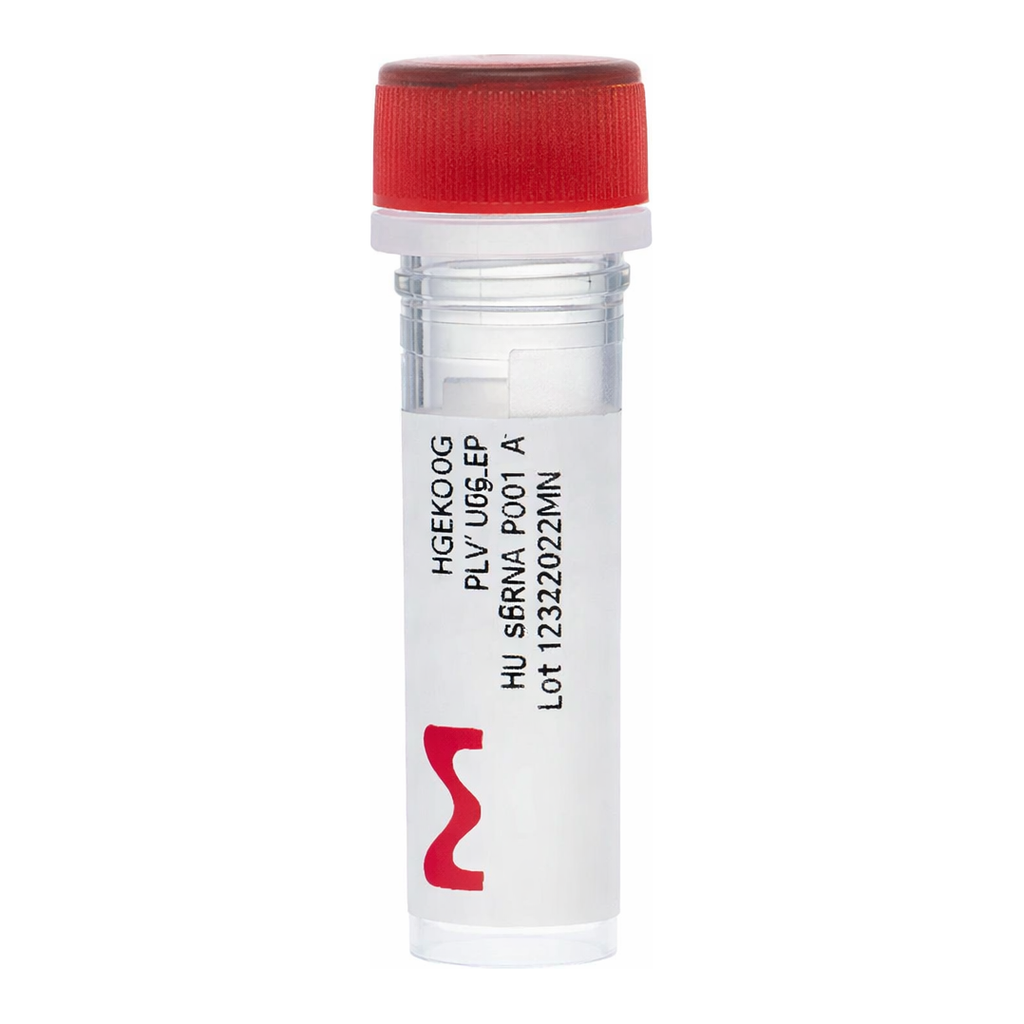 Merck Gecko2 Human Whole Genome CRISPR Pool, gRNA Only Lenti Particles (Gecko2 vector)