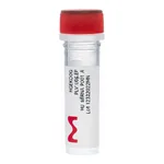 Merck Gecko2 Human Whole Genome CRISPR Pool, gRNA Only Lenti Particles (Gecko2 vector)