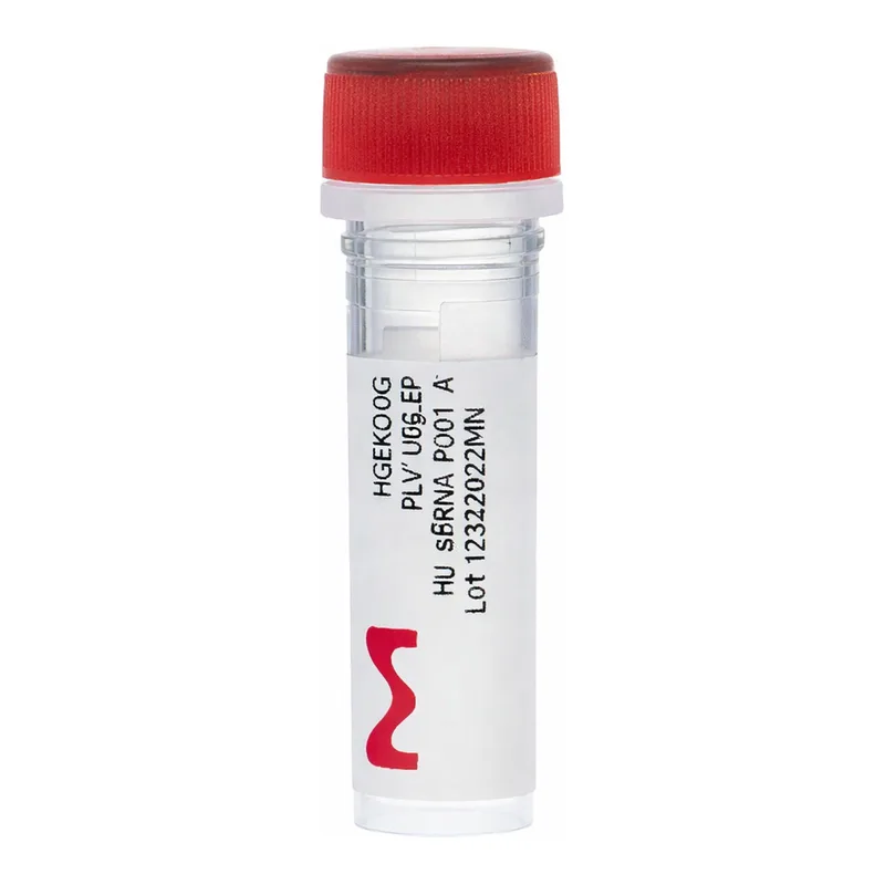 Merck Gecko2 Human Whole Genome CRISPR Pool, gRNA Only Lenti Particles (Gecko2 vector)