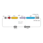 Merck MISSION TRC3 ORF BFP Lentivirus High Titer Control
