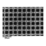Merck Nylon Net Filter