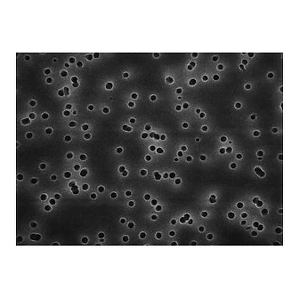Merck Isopore Membrane Filter