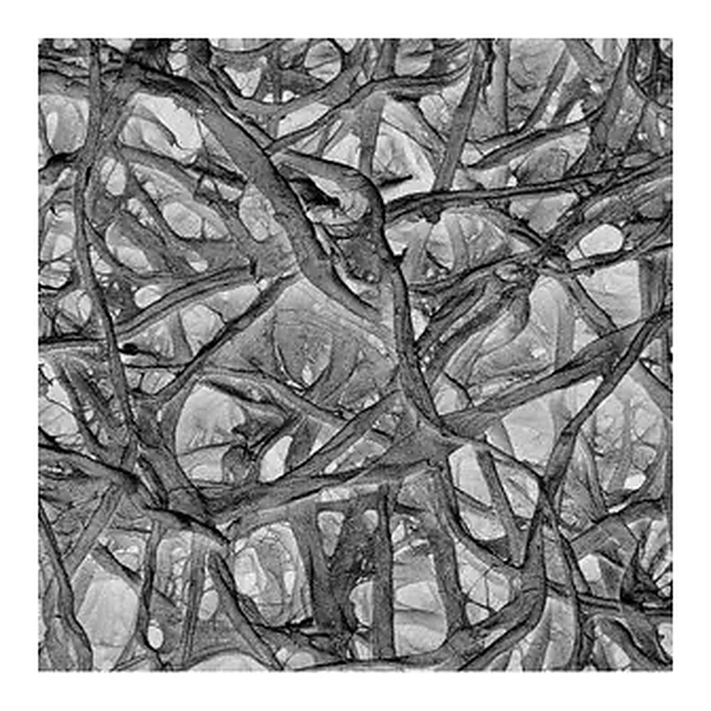 Merck Absorbent Pad