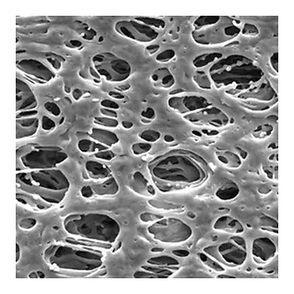 Merck Millipore Express PLUS Membrane Filter
