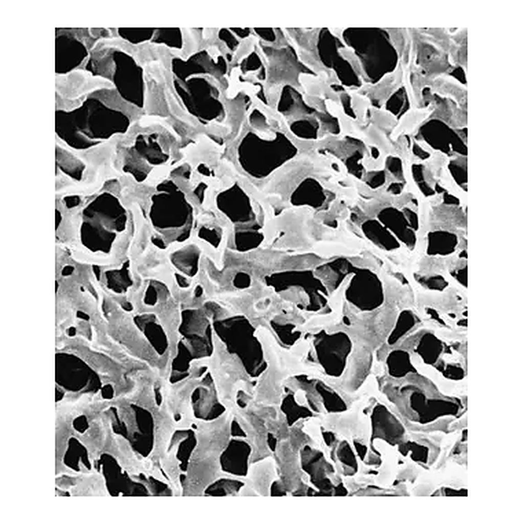 Merck Durapore Membrane Filter, 0.65 µm