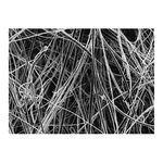 Merck Glass Fiber Filter without binder