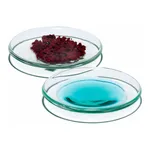 Merck Pyrex Watch glasses