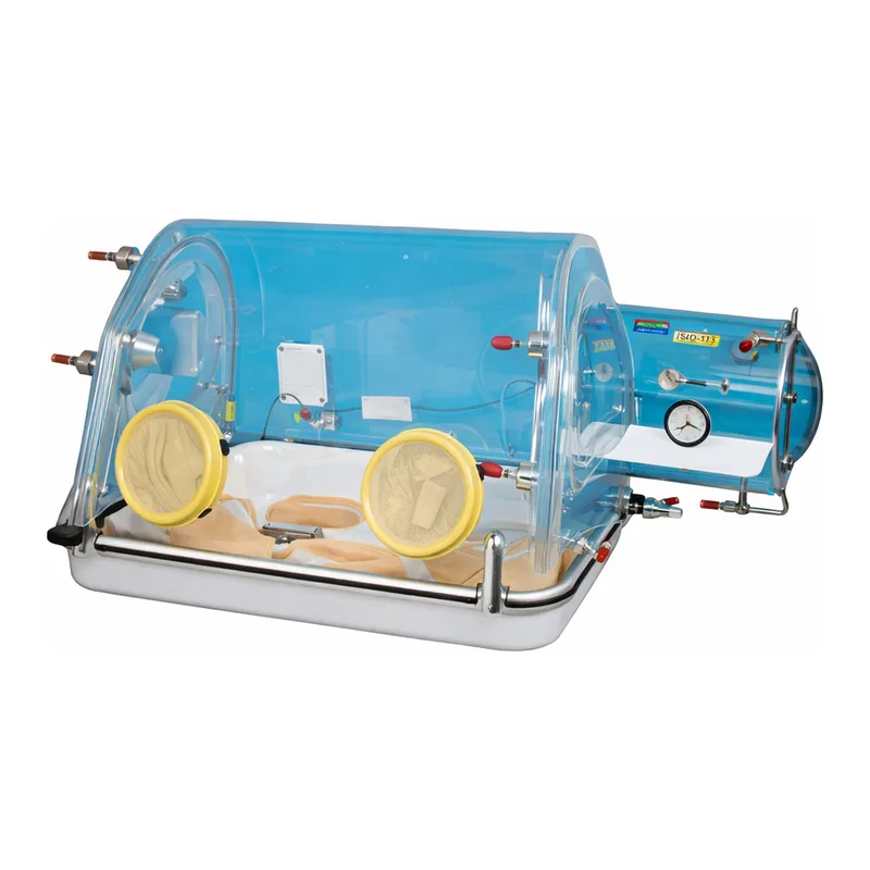 Merck Plas-Labs La Petite glove box