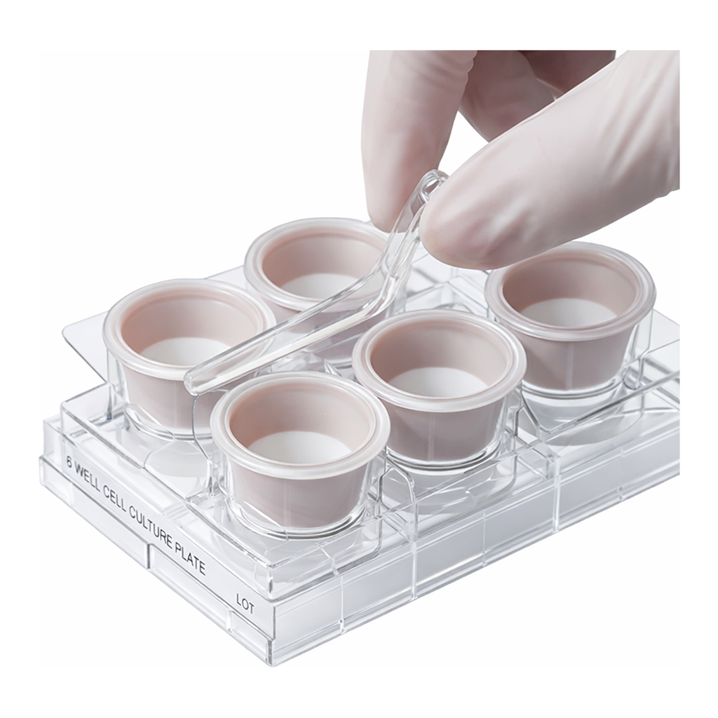 Merck Corning Netwells accessories