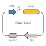 Merck Dead Cas9 plasmid