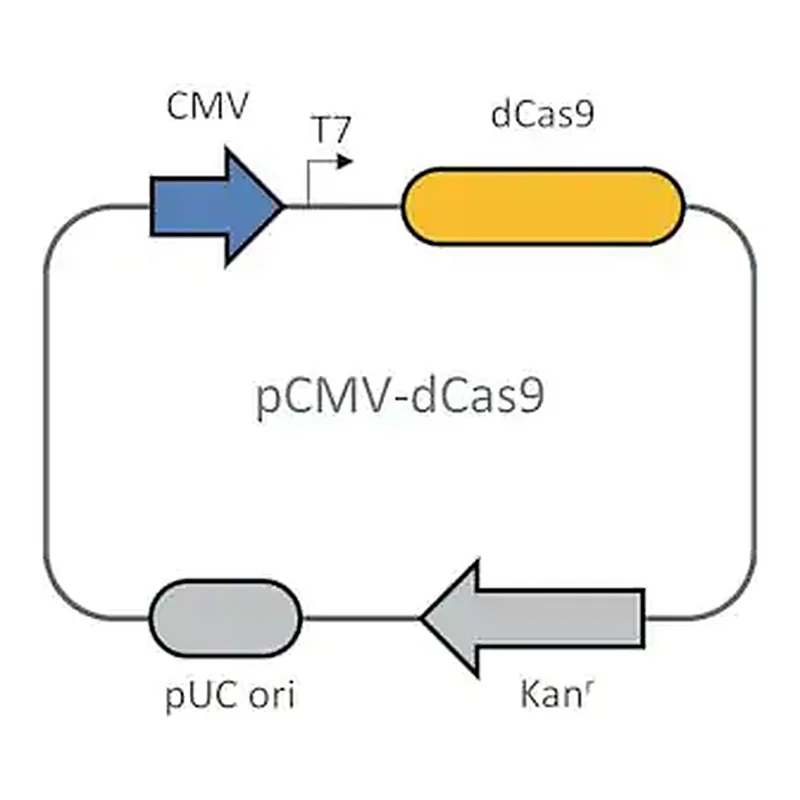 Merck Dead Cas9 plasmid