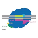 Merck dCas9-3XFLAG-Biotin Protein