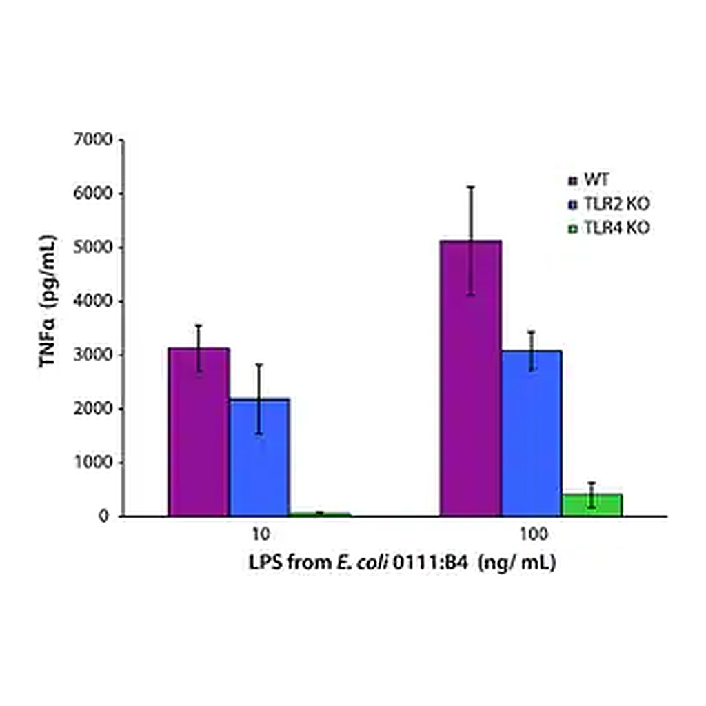 Merck Lipopolysaccharides from Escherichia coli O111:B4