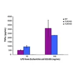 Merck Lipopolysaccharides from Escherichia coli O55:B5