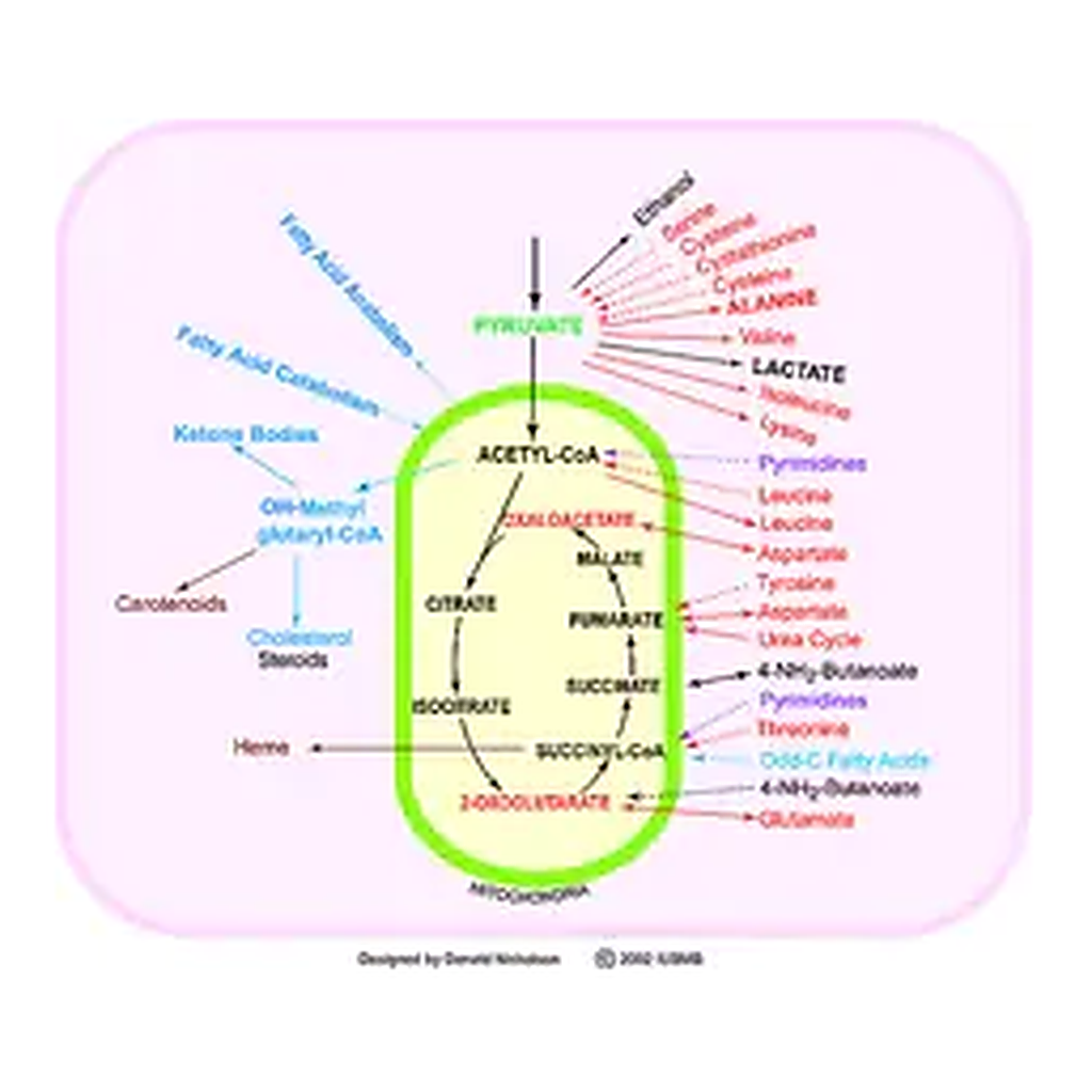 Merck TCA Cycle Metabolite Library