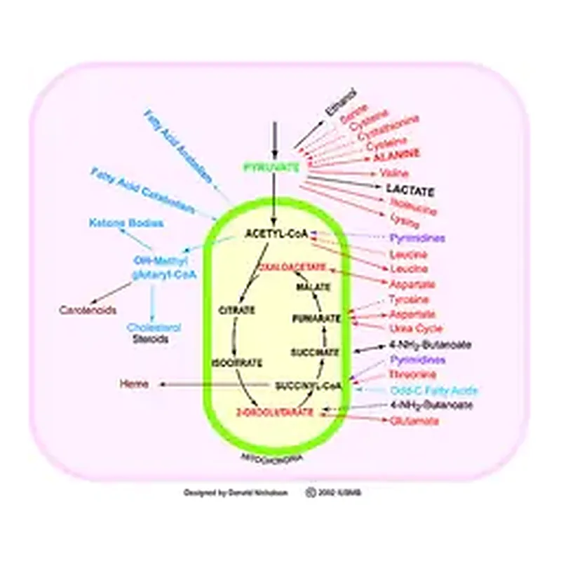 Merck TCA Cycle Metabolite Library