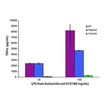 Merck Lipopolysaccharides from Escherichia coli O127:B8