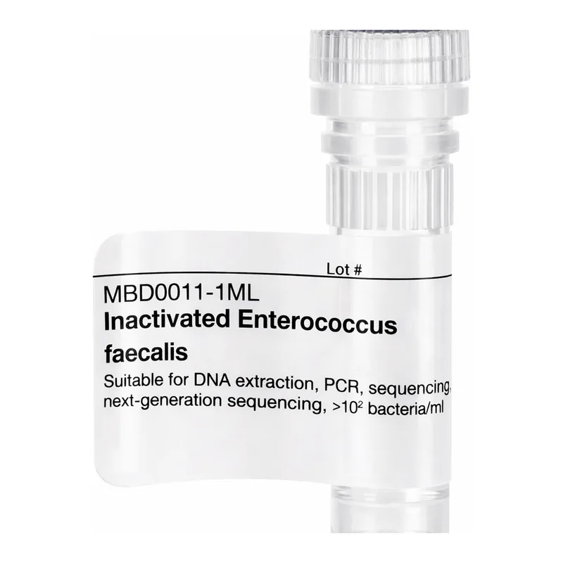 Merck Inactivated Enterococcus faecalis