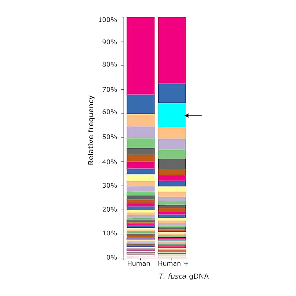 Merck Microbial DNA standard from Thermobifida fusca