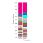 Merck Microbial DNA standard from Thermobifida fusca