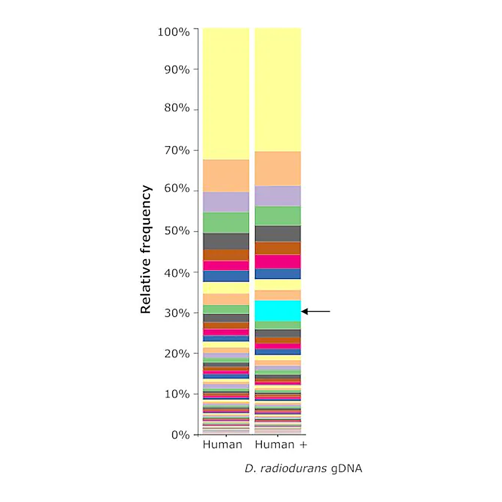 Merck Microbial DNA standard from Deinococcus radiodurans