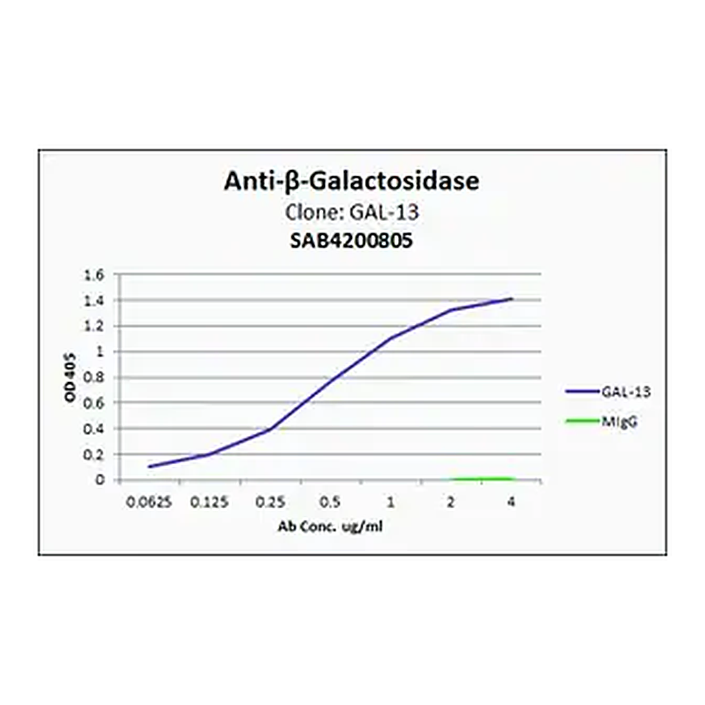 Merck Anti-β-Galactosidase antibody, Mouse monoclonal