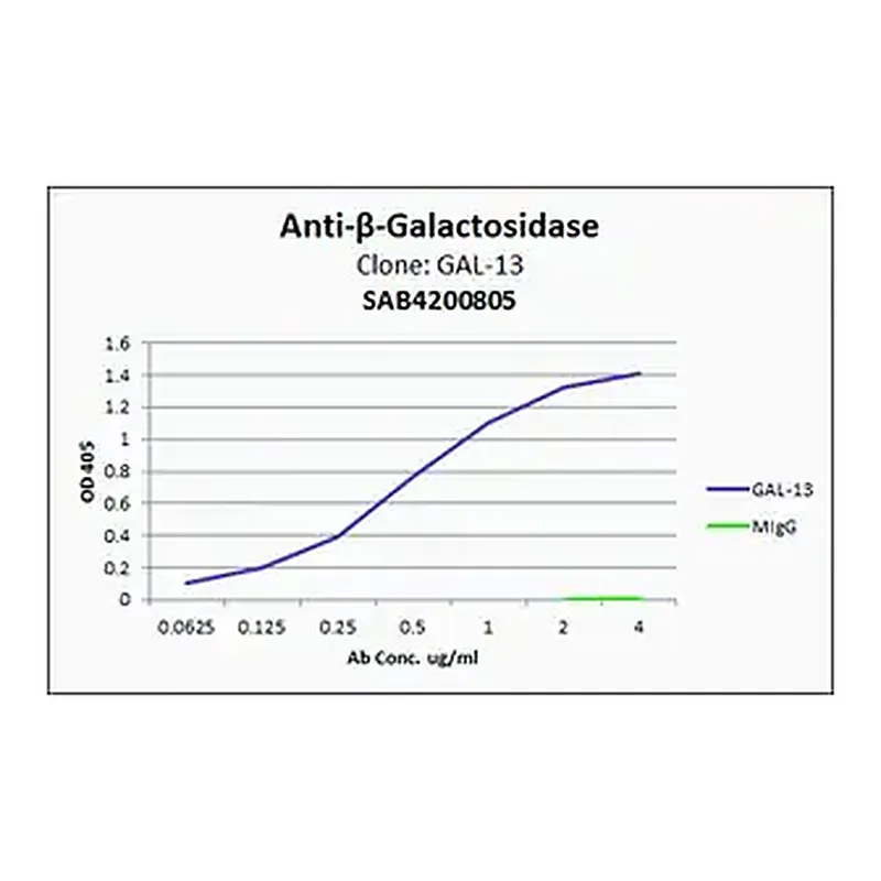 Merck Anti-β-Galactosidase antibody, Mouse monoclonal