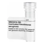 Merck Inactivated Pseudomonas aeruginosa