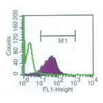 Merck Anti-Shiga Toxin 1, B Subunit-FITC antibody, Mouse monoclonal