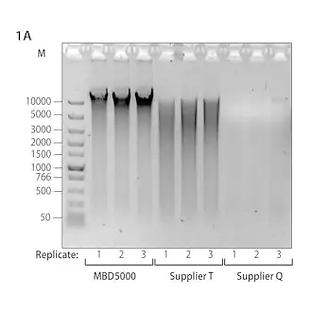 Merck GenElute Microbiome DNA Purification Kit