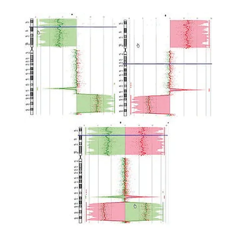 Merck GenomePlex Complete Whole Genome Amplification (WGA) Kit