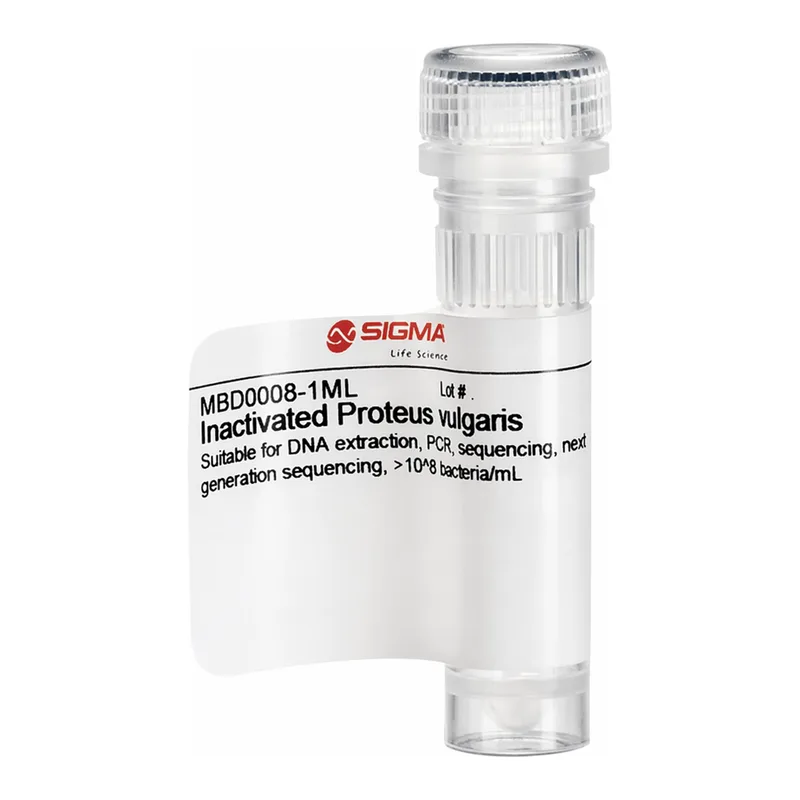 Merck Inactivated Proteus vulgaris