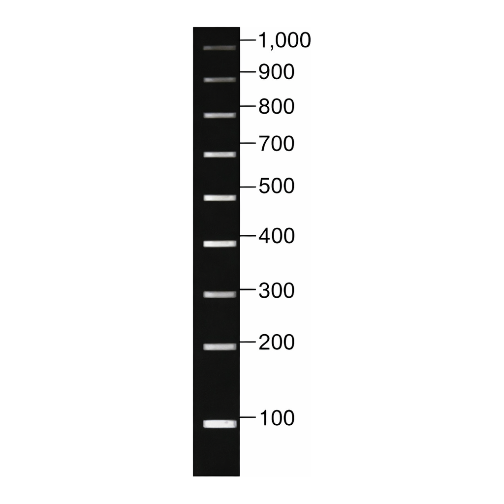 Merck DirectLoad PCR 100 bp Low Ladder