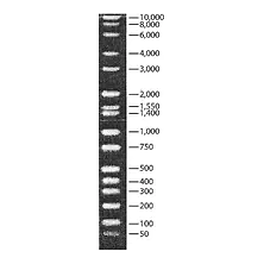 Merck DirectLoad Wide Range DNA Marker